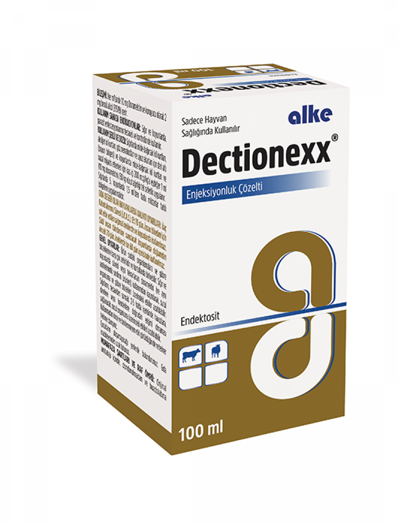DECTİONEXX