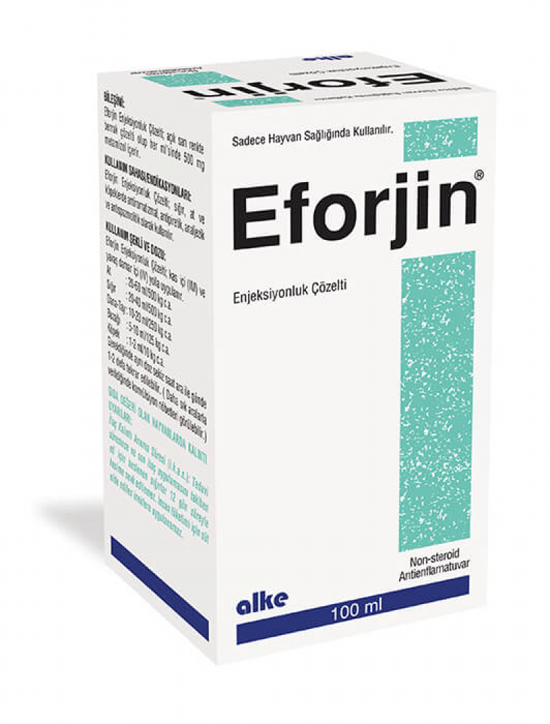 EFORJİN