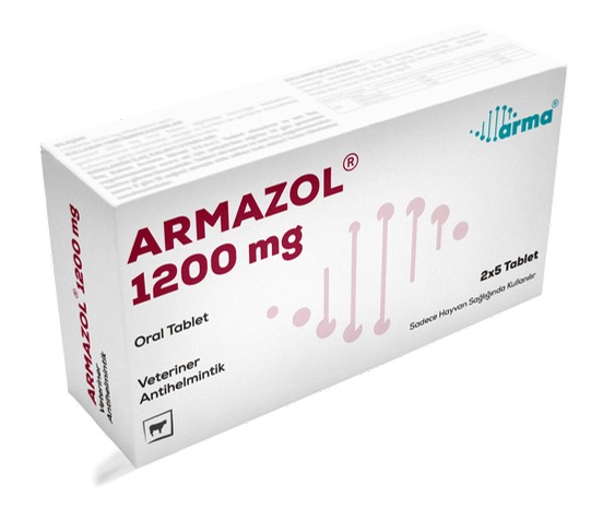 ARMAZOL 1200 mg Oral Tablet
