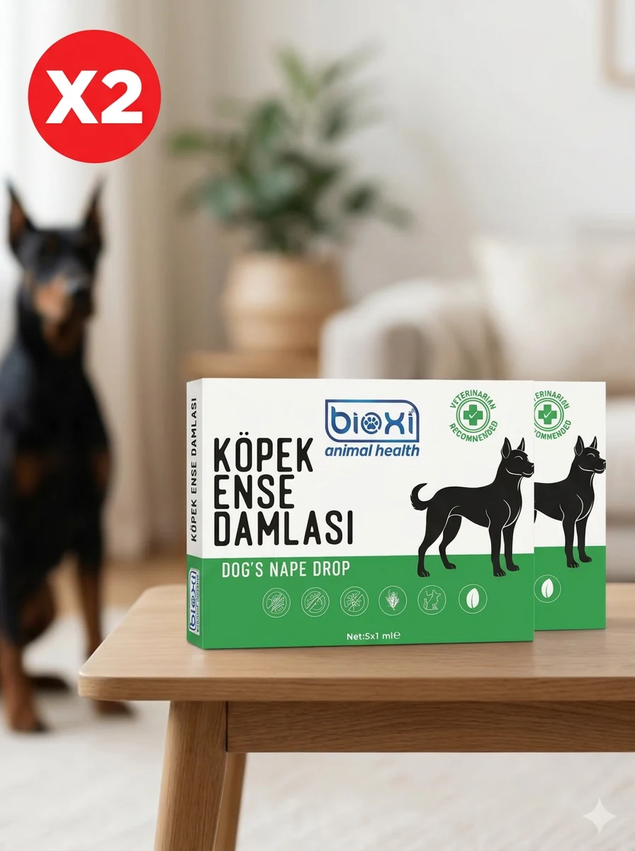 KÖPEK ENSE DAMLASI