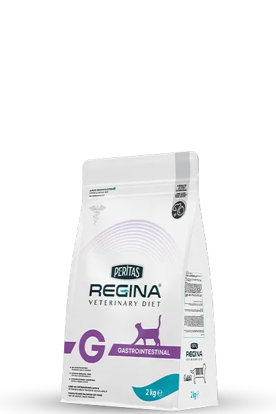 Cat Gastrointestinal 2 Kg