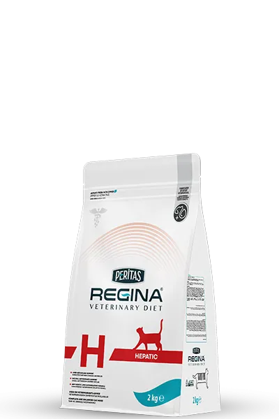Cat Hepatic 2 Kg
