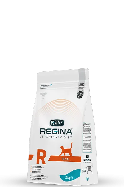 Cat Renal 2 Kg