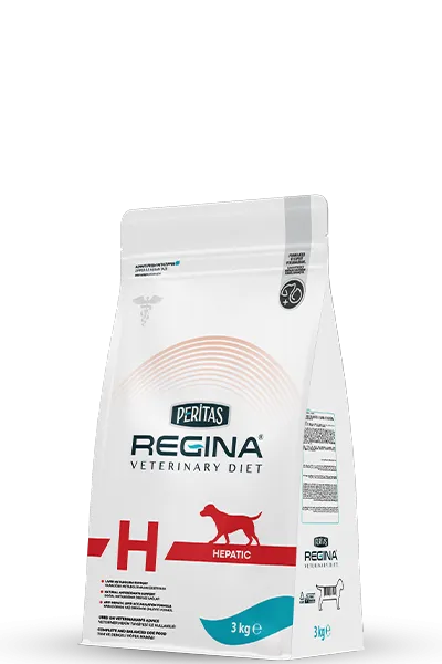 Dog Hepatic 3 Kg