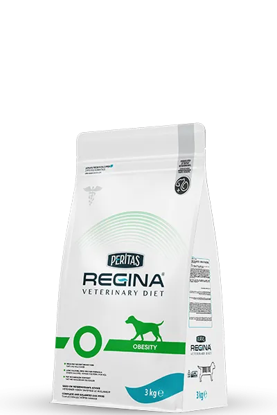 Dog Obesity 3 Kg