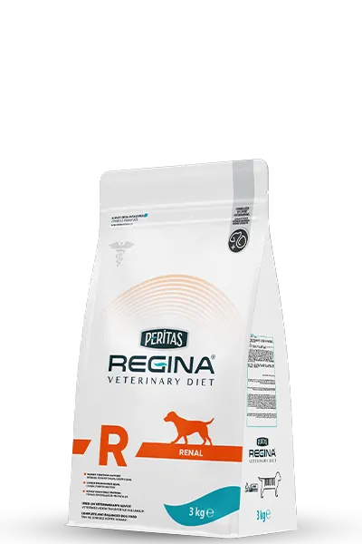 Dog Renal 3 Kg