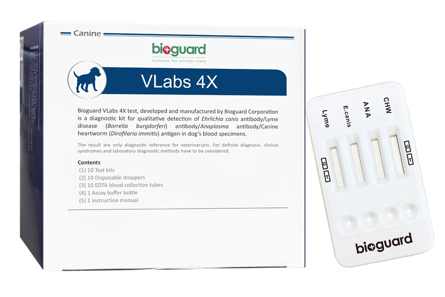 BIOGAURD 4X HIZLI TEST KİTİ