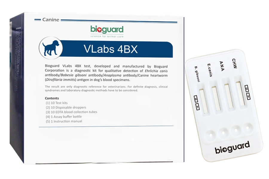 4BX HIZLI TEST KİTİ