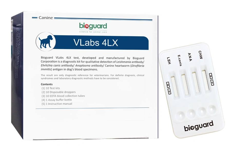 4LX HIZLI TEST KİTİ
