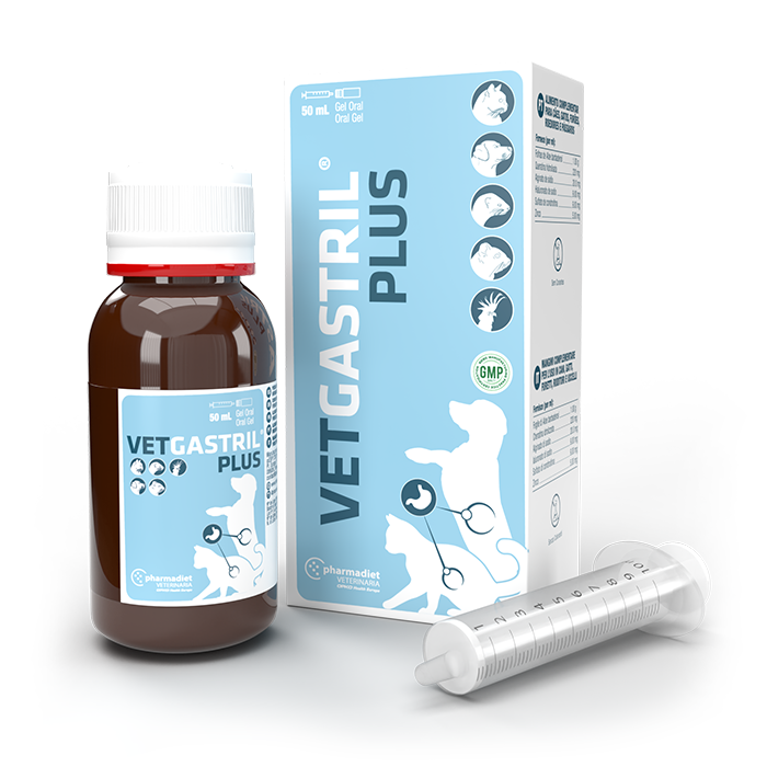 VETGASTRİL PLUS 50 ML
