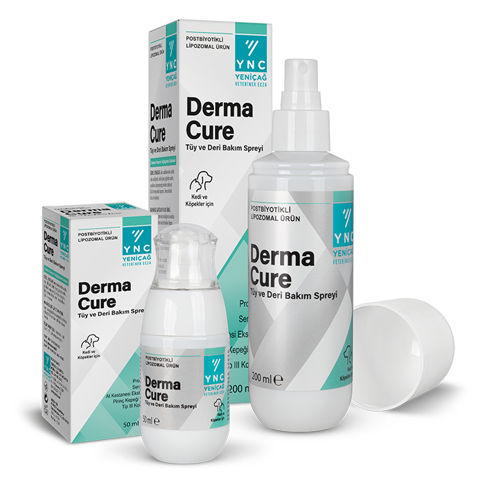 DERMA CURE TÜY VE DERİ BAKIM SPREYİ 50 L