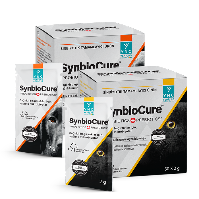 SYNBIOCURE DOG