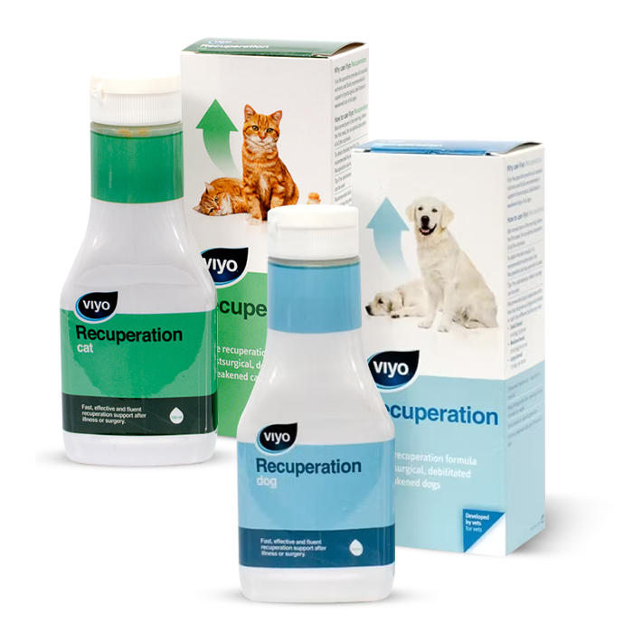 VIYO RECUPERATİON CAT 150 ML