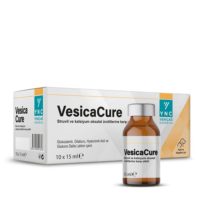 VESİCACURE